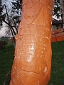 puspokhatvan_faszobrok_2010_004