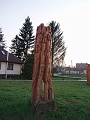 puspokhatvan_faszobrok_2010_021