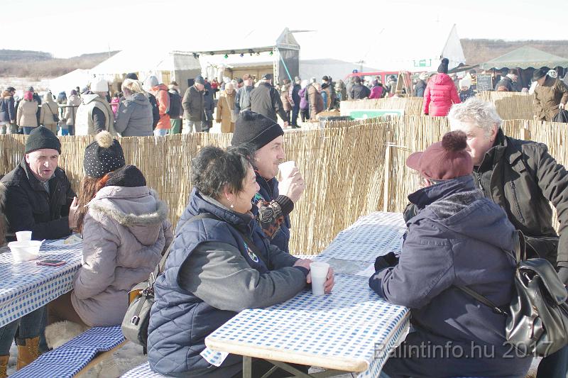 torokbalint_sautanz_fesztival_budakeszi_2017_006.JPG