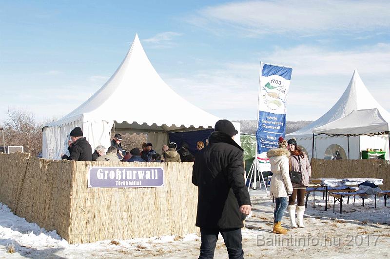 torokbalint_sautanz_fesztival_budakeszi_2017_026.JPG