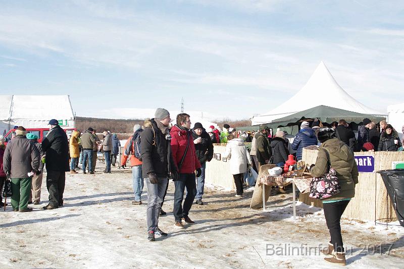 torokbalint_sautanz_fesztival_budakeszi_2017_027.JPG