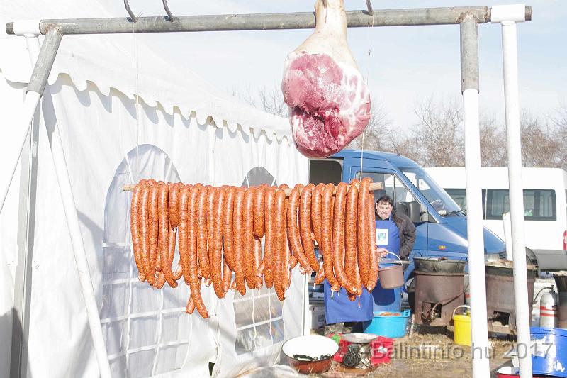 torokbalint_sautanz_fesztival_budakeszi_2017_033.JPG