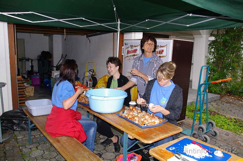 stadtfest-sussen_2012_0060.jpg