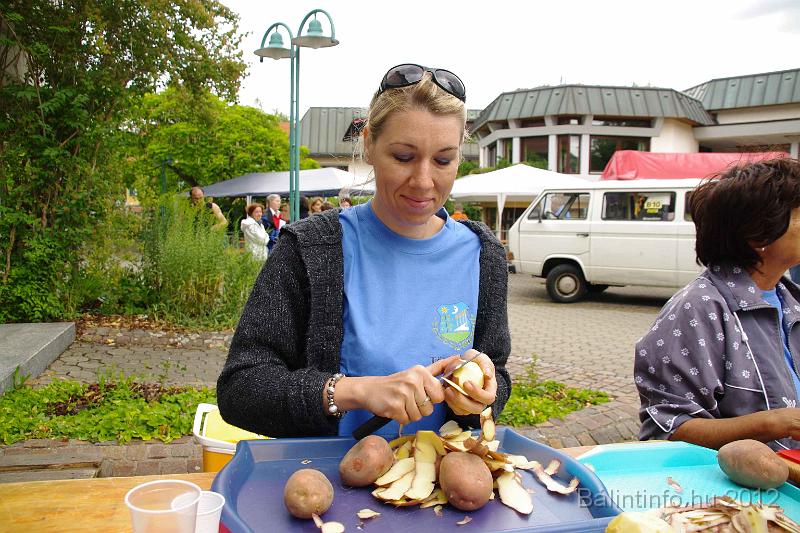 stadtfest-sussen_2012_0080.jpg