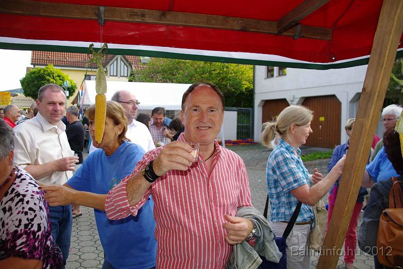 stadtfest-sussen_2012_0218.jpg