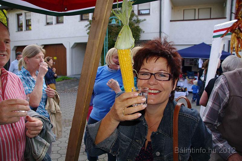 stadtfest-sussen_2012_0219.jpg