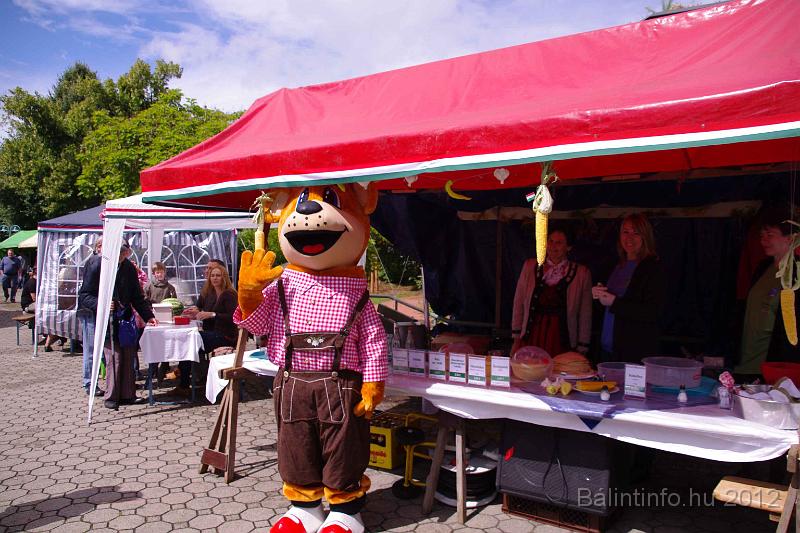 stadtfest-sussen_2012_0259.jpg
