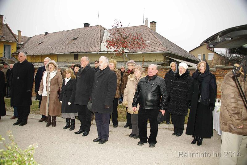 svab_kitelepites_torokbalint_2014_007.JPG