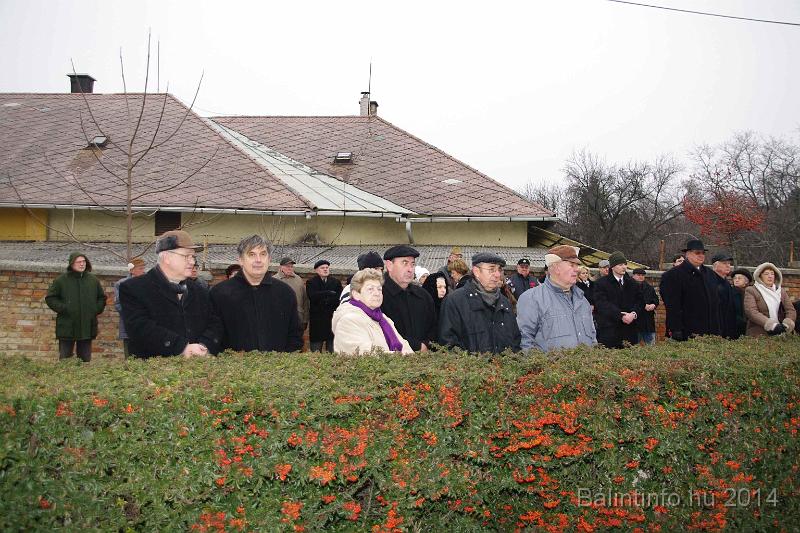 svab_kitelepites_torokbalint_2014_018.JPG