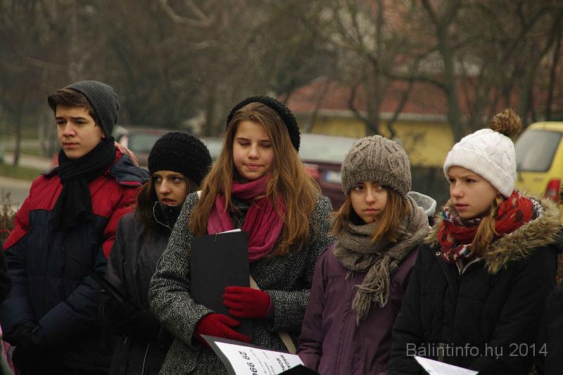 svab_kitelepites_torokbalint_2014_026.JPG