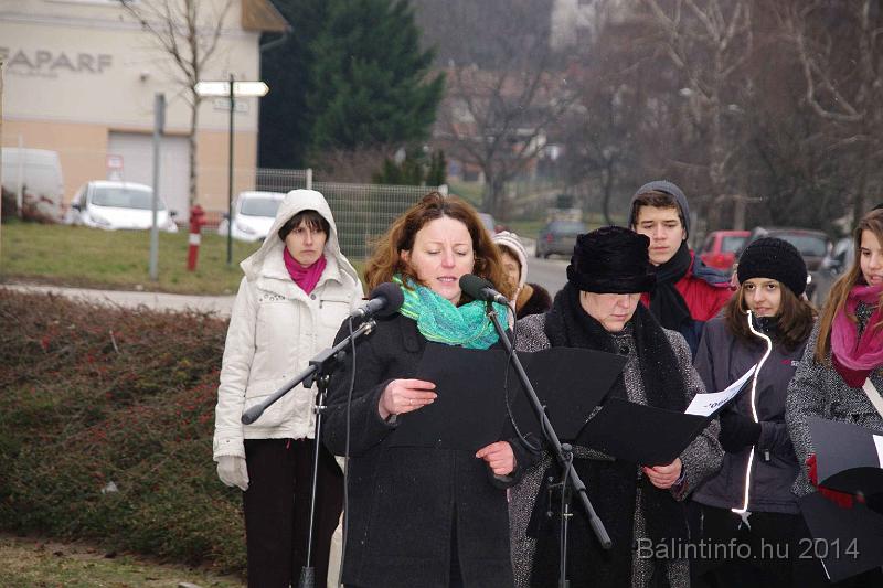 svab_kitelepites_torokbalint_2014_030.JPG