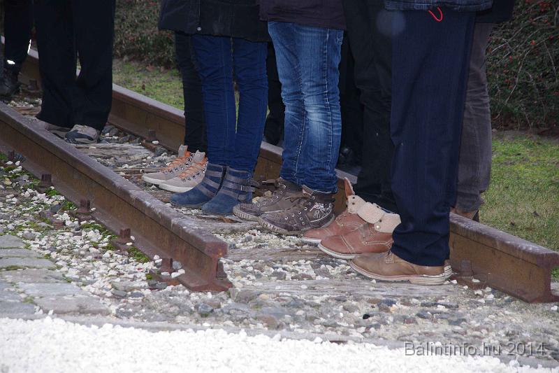 svab_kitelepites_torokbalint_2014_033.JPG