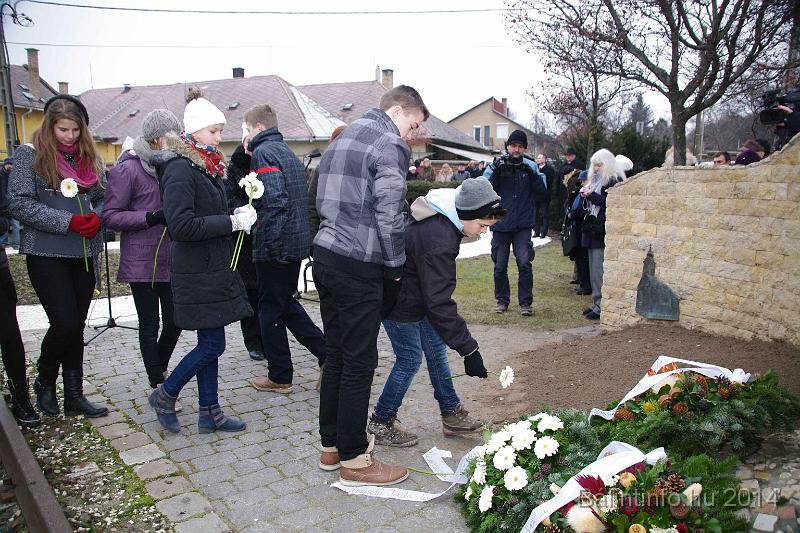 svab_kitelepites_torokbalint_2014_042.JPG
