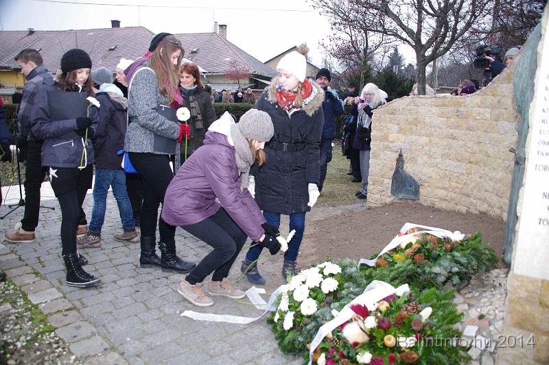 svab_kitelepites_torokbalint_2014_043.JPG