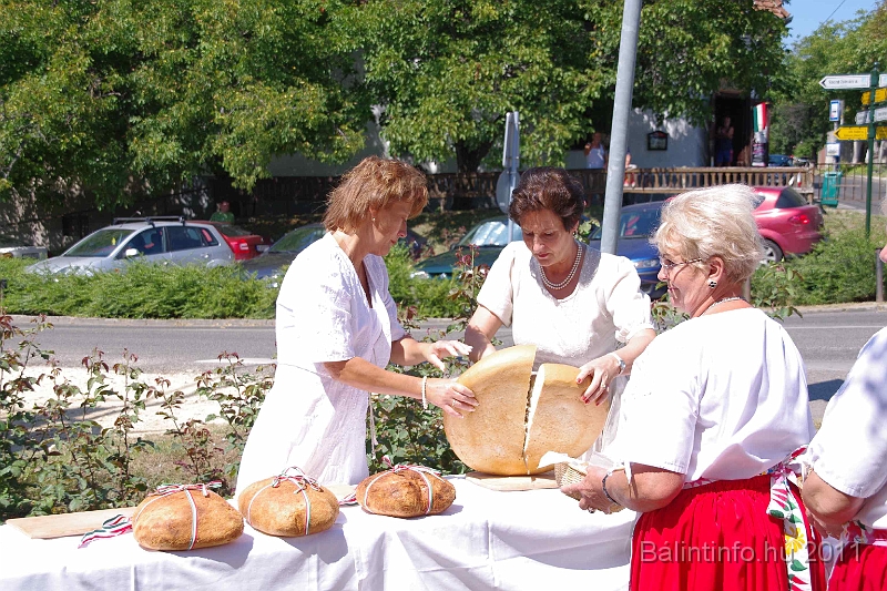 torokbalint_aug20_2011_049.jpg