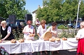 torokbalint_aug20_2011_047