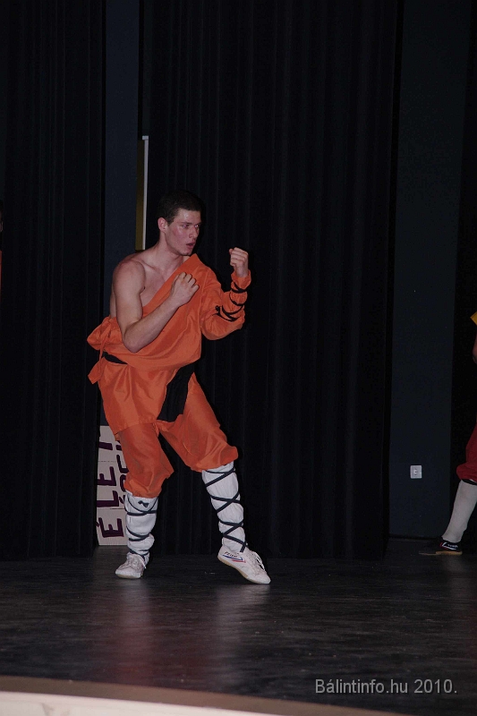 egyesuletek-napja_2010_010.jpg