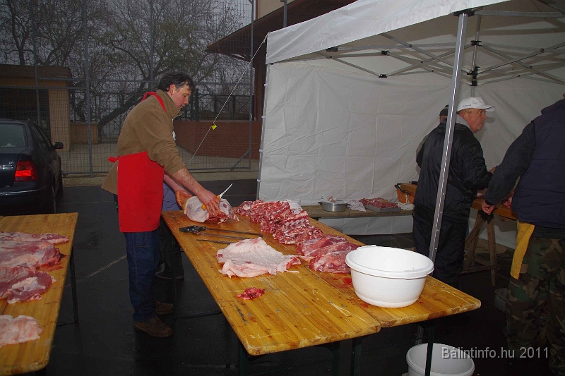 egyesuletek_napja_2011_001.jpg