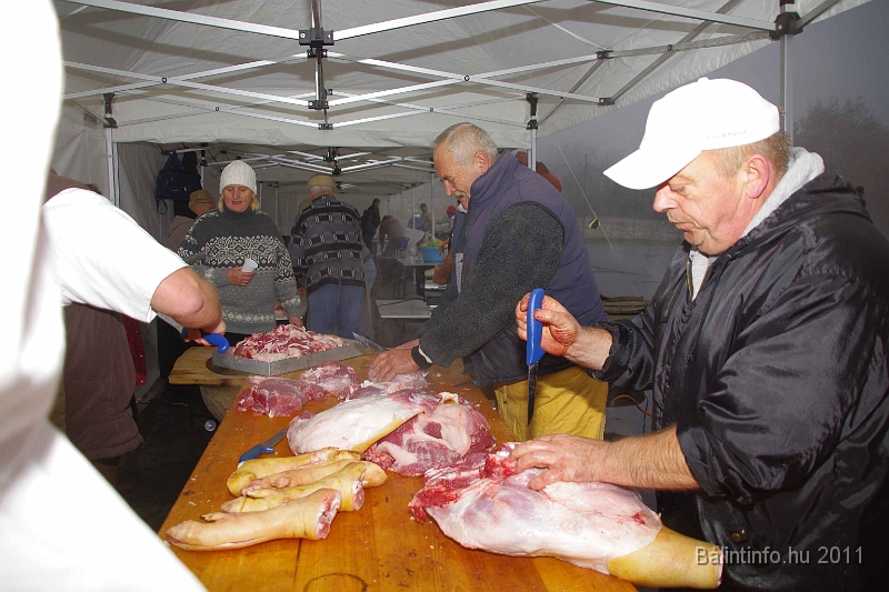 egyesuletek_napja_2011_002.jpg