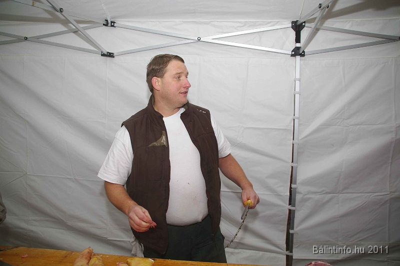 egyesuletek_napja_2011_003.jpg