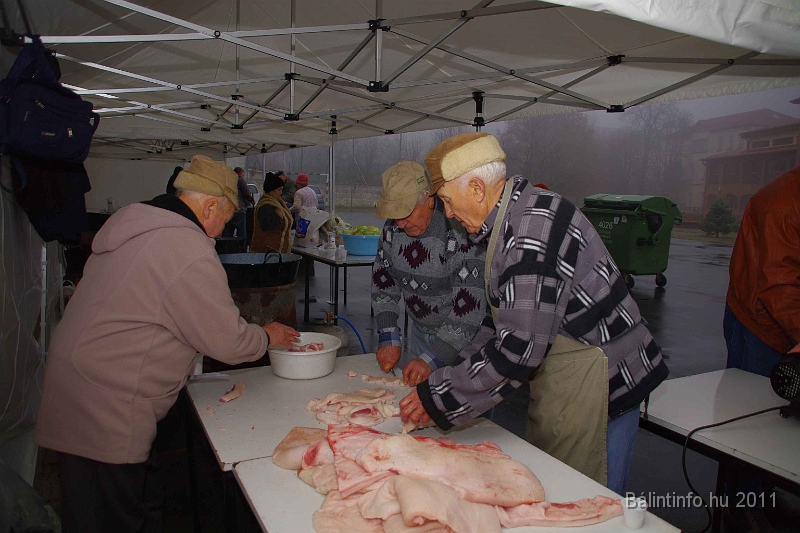 egyesuletek_napja_2011_004.jpg