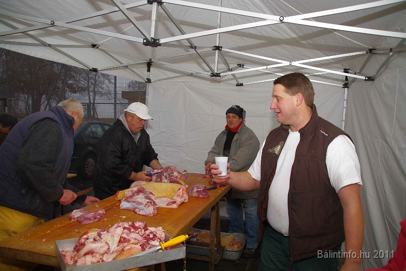 egyesuletek_napja_2011_007.jpg