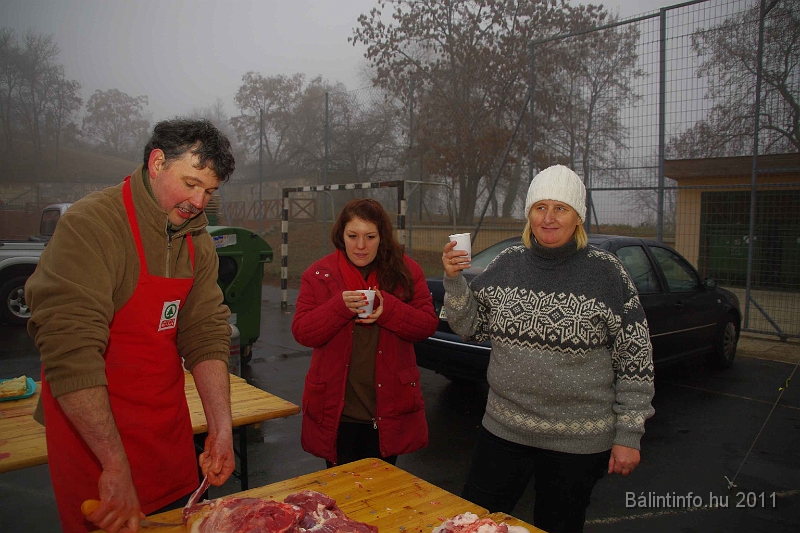 egyesuletek_napja_2011_012.jpg