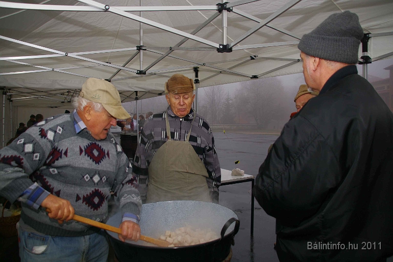 egyesuletek_napja_2011_035.jpg