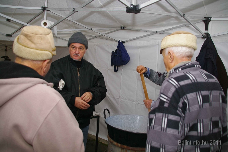 egyesuletek_napja_2011_036.jpg