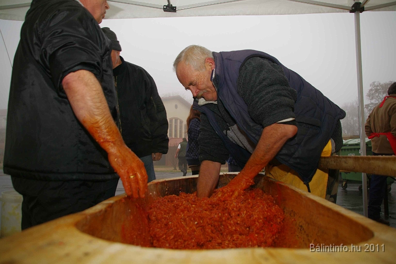 egyesuletek_napja_2011_039.jpg