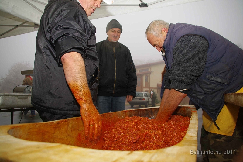 egyesuletek_napja_2011_040.jpg