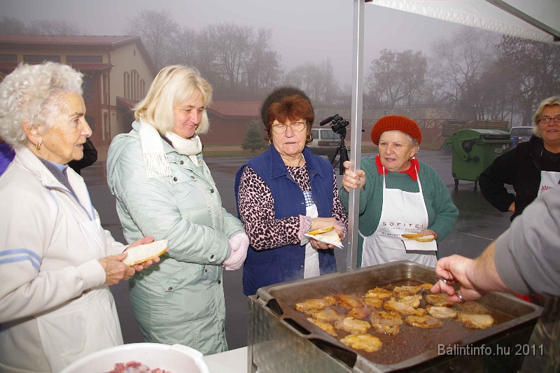 egyesuletek_napja_2011_043.jpg