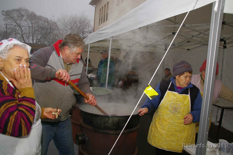 egyesuletek_napja_2011_046.jpg