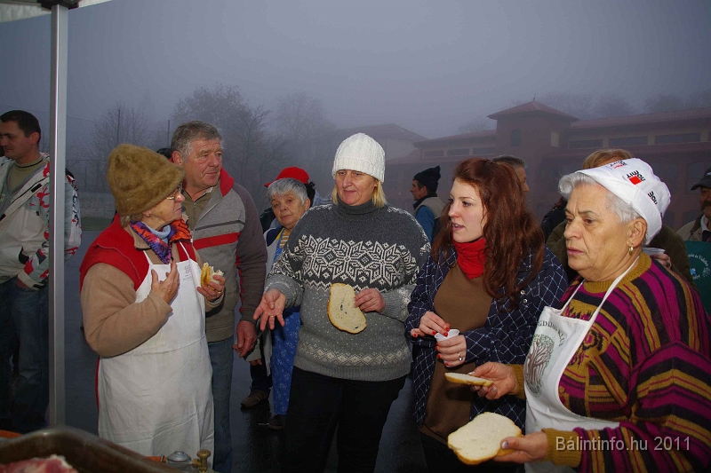 egyesuletek_napja_2011_049.jpg