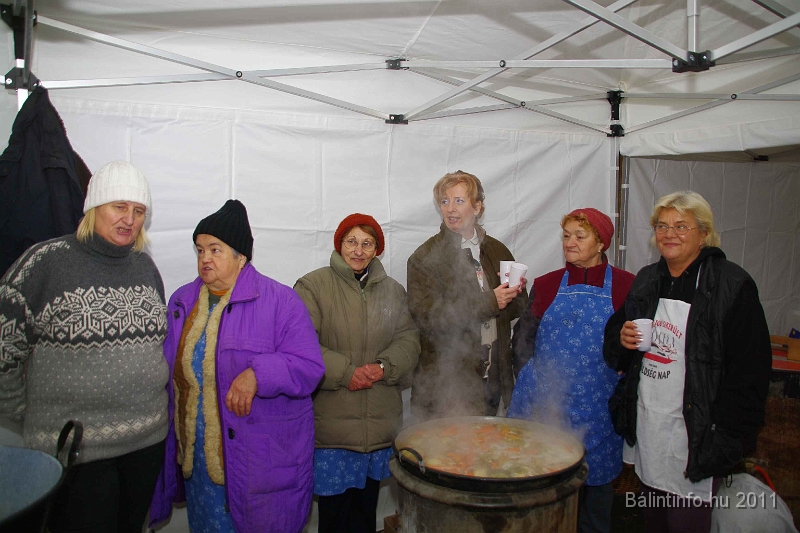 egyesuletek_napja_2011_052.jpg