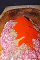 egyesuletek_napja_2011_032