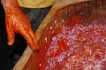 egyesuletek_napja_2011_037