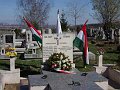 koszoruzas_2008_01