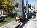 koszoruzas_2008_30