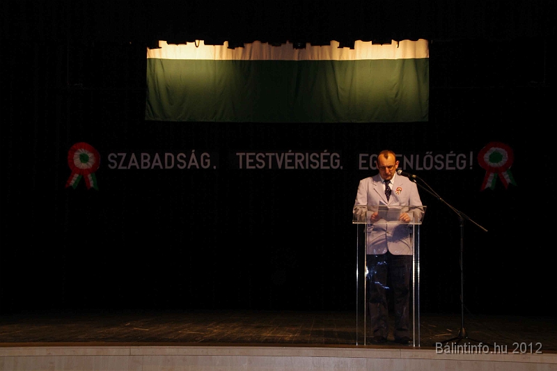 torokbalint_marcius15_2012_027.jpg