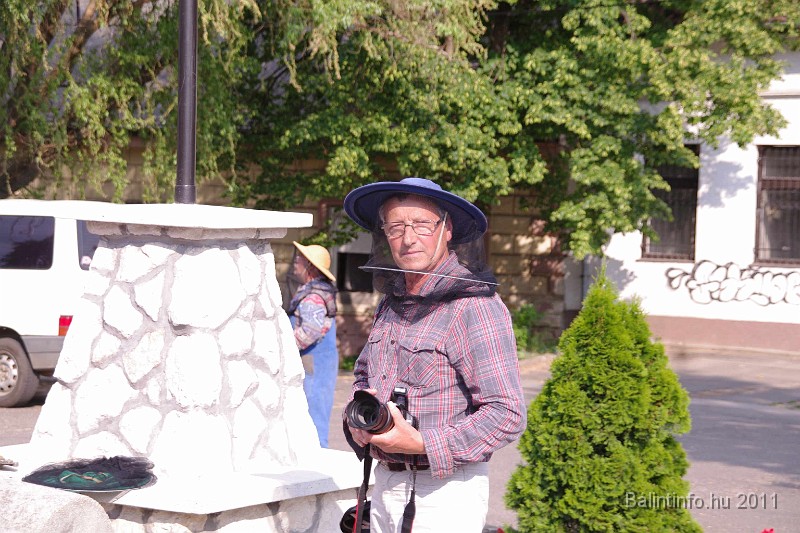 mehrajzas_torokbalint_2011_005.jpg