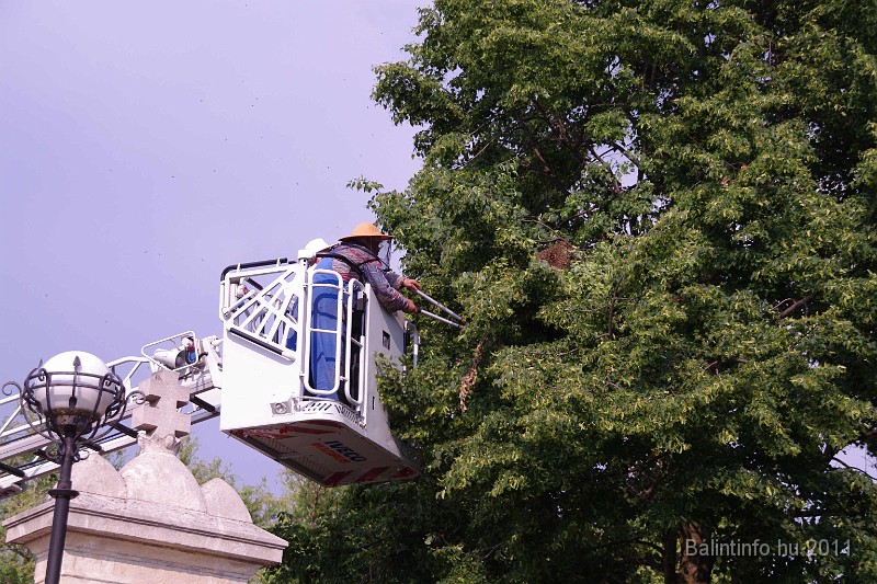 mehrajzas_torokbalint_2011_020.jpg
