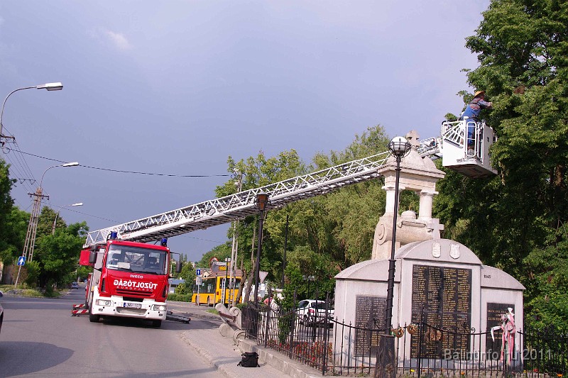mehrajzas_torokbalint_2011_023.jpg