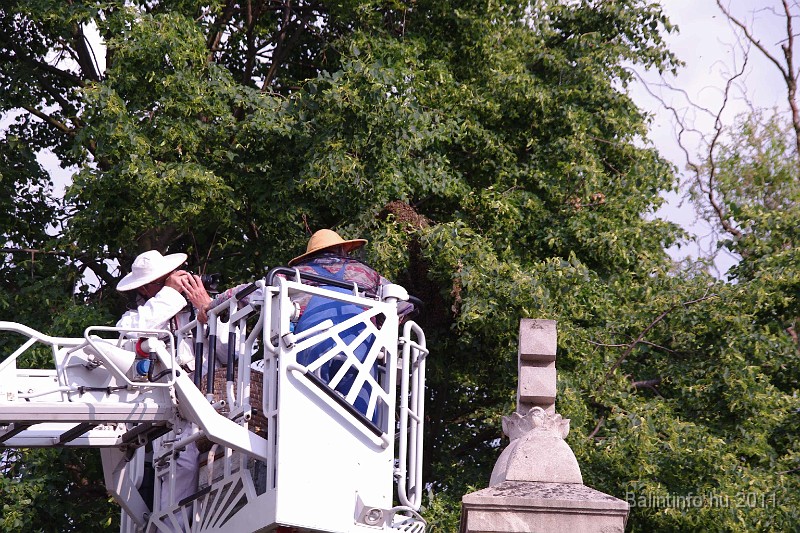 mehrajzas_torokbalint_2011_024.jpg
