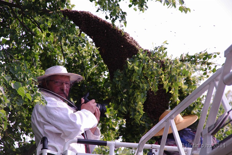 mehrajzas_torokbalint_2011_034.jpg