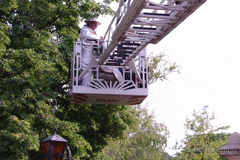 mehrajzas_torokbalint_2011_055.jpg