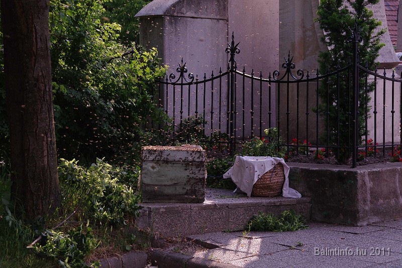 mehrajzas_torokbalint_2011_061.jpg