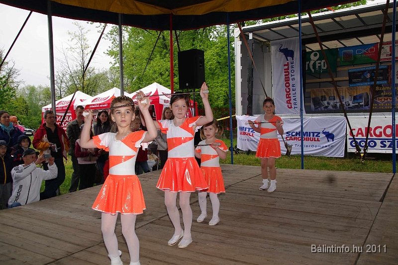 torokbalinti_varosi_majalis_2011_0041.jpg