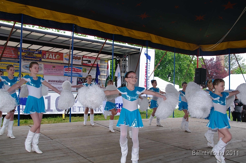 torokbalinti_varosi_majalis_2011_0052.jpg