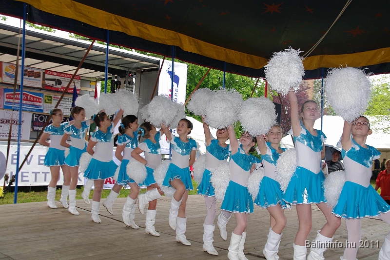 torokbalinti_varosi_majalis_2011_0056.jpg